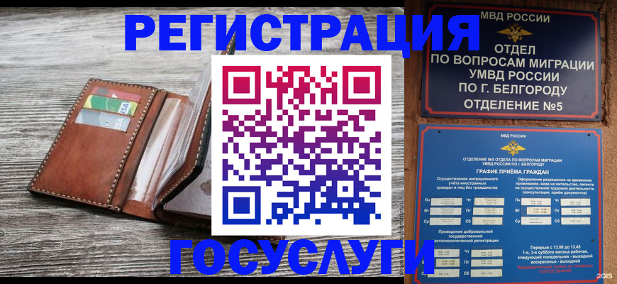 временная регистрация гарантия в Курганской области